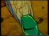 Photo Number 21
